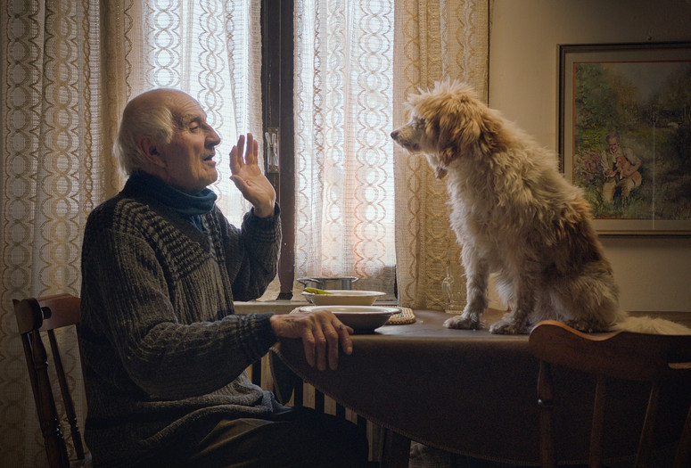 The Truffle Hunters. 2020. Italy/Greece/USA. Directed by MIchael Dweck, Gregory Kershaw. Courtesy Sony Pictures Classics