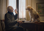 The Truffle Hunters. 2020. Italy/Greece/USA. Directed by MIchael Dweck, Gregory Kershaw. Courtesy Sony Pictures Classics