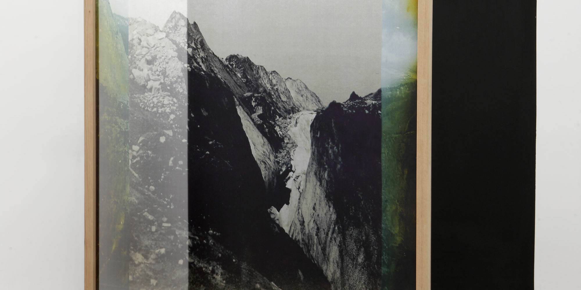 Elena Damiani. Fading Field no. 1. 2012. Impresión de chorro de tinta pigmentada sobre chifon de seda con marco de madera y muro negro, 69 3/4 × 52 7/8" (177.2 × 134.3 cm). The Museum of Modern Art, New York. Donación de Patricia Phelps de Cisneros a través del Latin American and Caribbean Fund en honor de Mimi Haas. © 2020 Elena Damiani