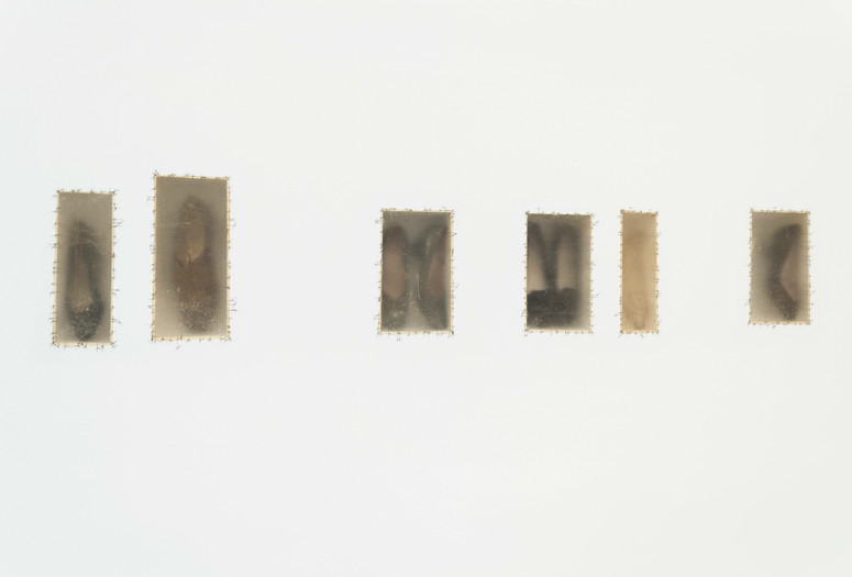 Doris Salcedo. Atrabilious. 1992-93. Wall installation with plywood, shoes, cow bladder and surgical thread, six niches. Gift of Marie-Josée and Henry R. Kravis.Copyright © 2020 Doris Salcedo.