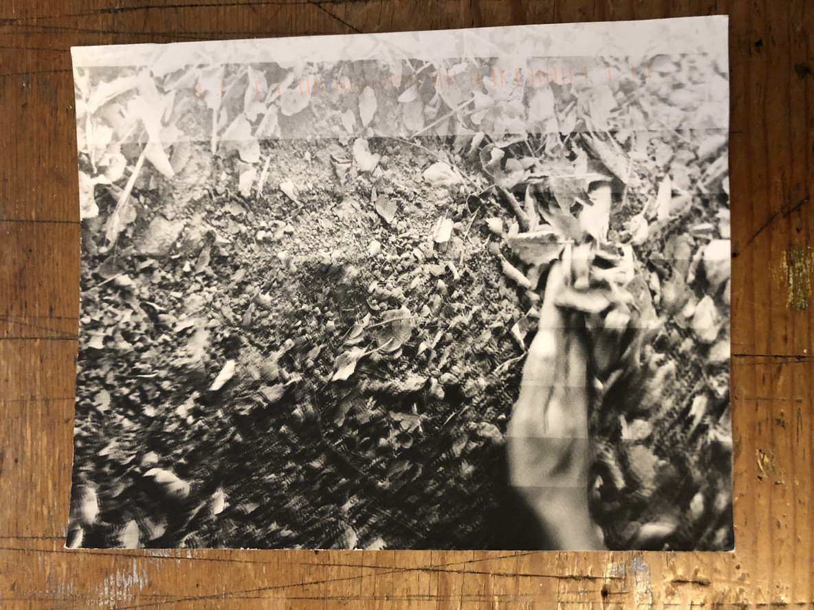 Postcard from Dionne Lee