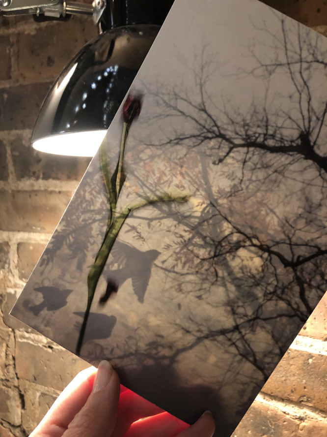 Postcard from Irina Rozovsky