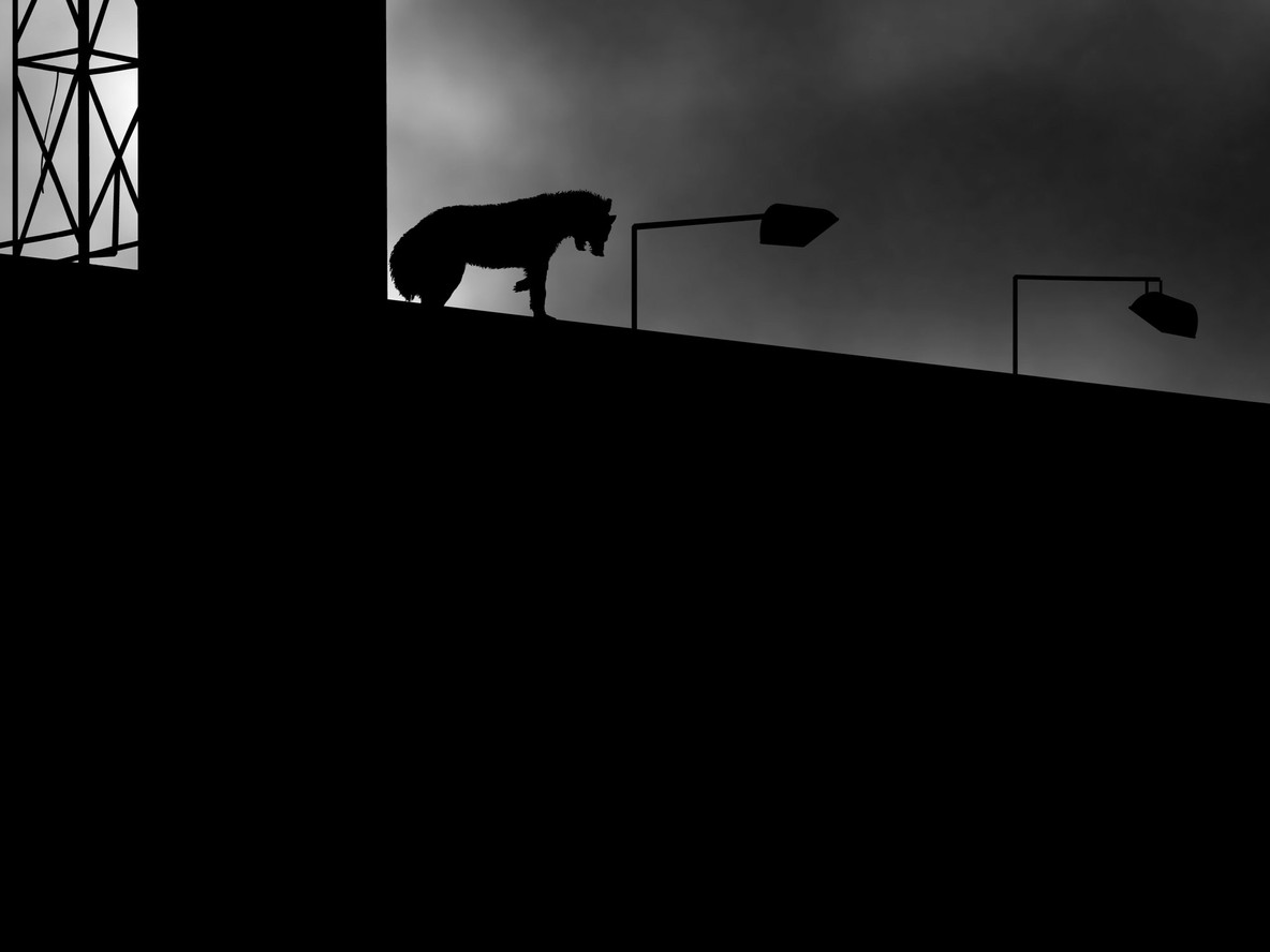 Carlos Amorales. Still from Manimal. 2005