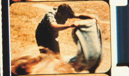 Investigation of a Flame. Lynne Sachs. USA. 2001. Courtesy of Film-makers Cooperative
