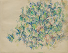 Paul Cézanne. Foliage. 1900-04. Watercolor and pencil on paper. Lillie P. Bliss Collection. © 2021 The Museum of Modern Art, New York