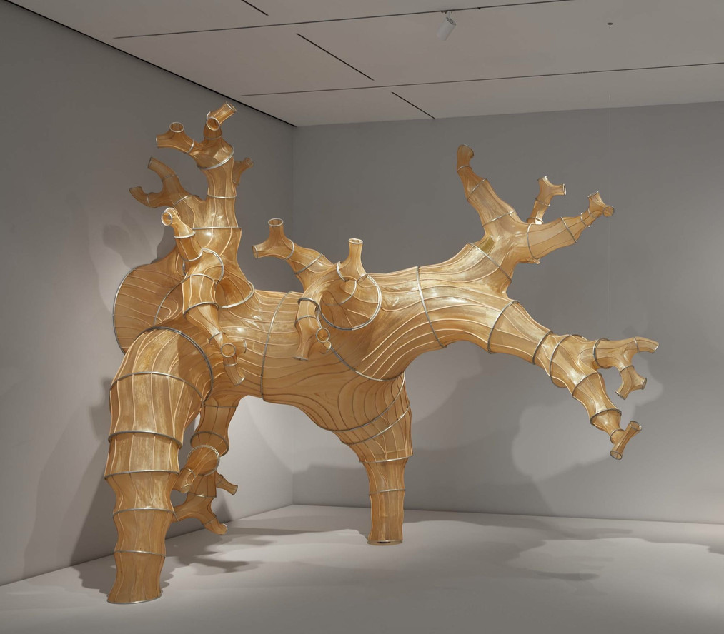 Julia Lohmann. Oki Naganode. 2013