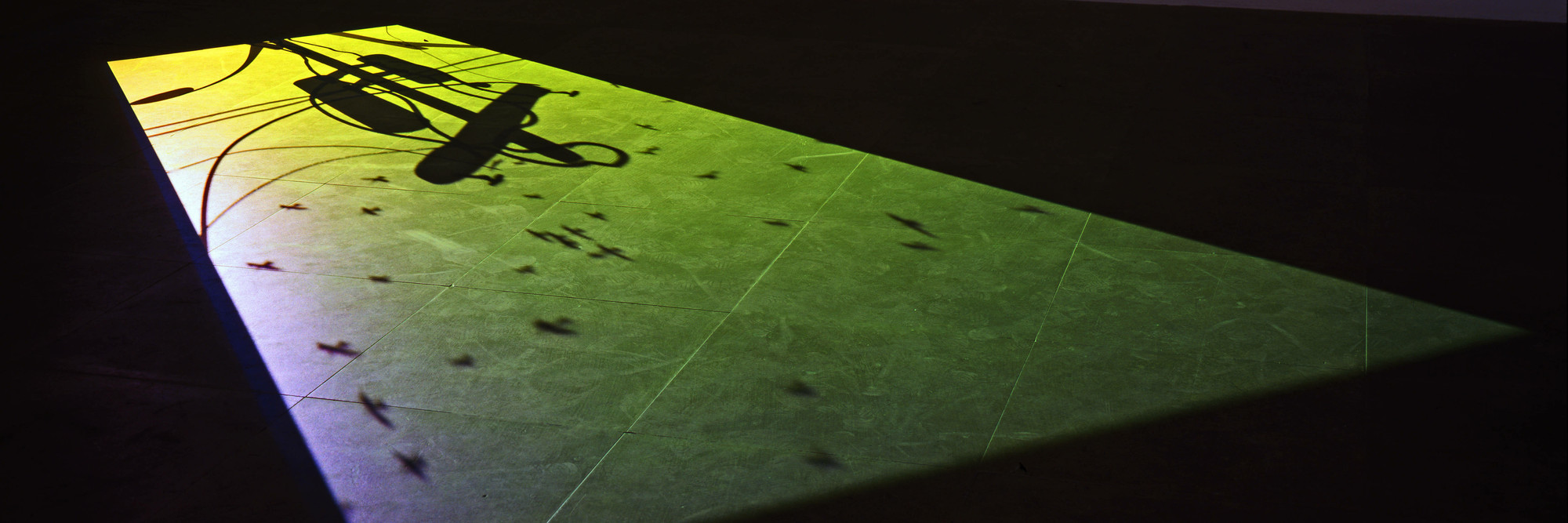 Paul Chan. 1st Light. 2005. Digital video (color, silent), 14 min. Acquired through the generosity of Maja Oeri and Hans Bodenmann. © 2021 Paul Chan