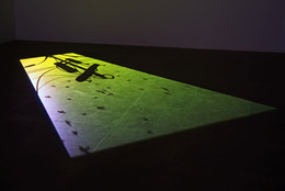 Paul Chan. 1st Light. 2005. Digital video (color, silent), 14 min. Acquired through the generosity of Maja Oeri and Hans Bodenmann. © 2021 Paul Chan