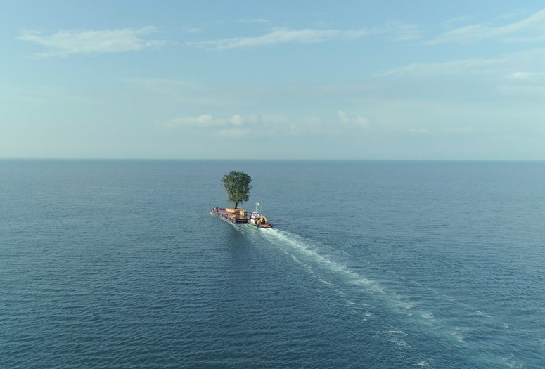 Taming the Garden. 2021. Georgia/Switzerland. Directed by Salomé Jashi. Courtesy Syndicado
