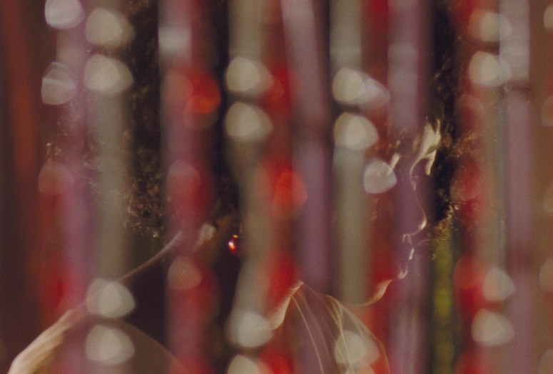 Eyimofe (This Is My Desire). 2020. Nigeria/USA. Directed by Chuko and Arie Esiri. Courtesy the filmmakers