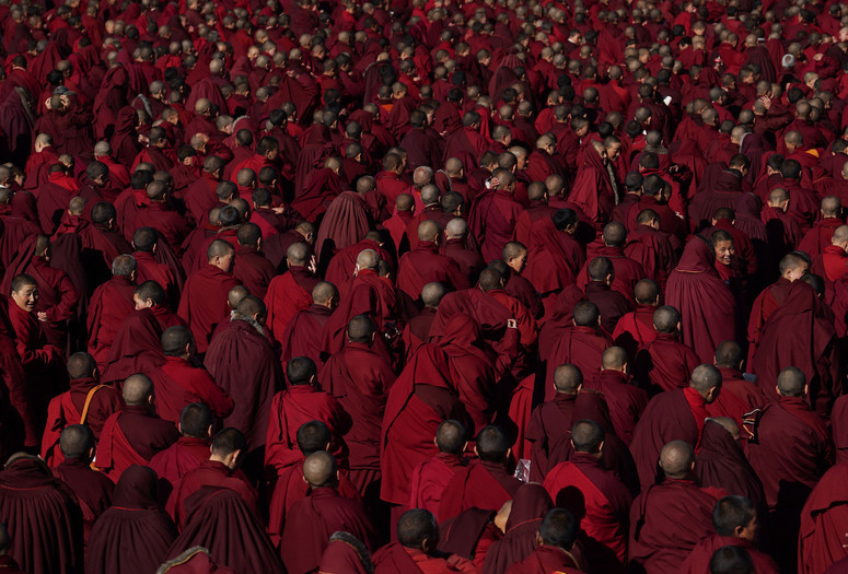 Dark Red Forest. 2021. China. Directed by Jin Huaqing. Courtesy Autlook Filmsales