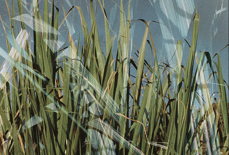 KMK Cane. 1977. USA. Directed by Neelon Crawford. The Museum of Modern Art, New York