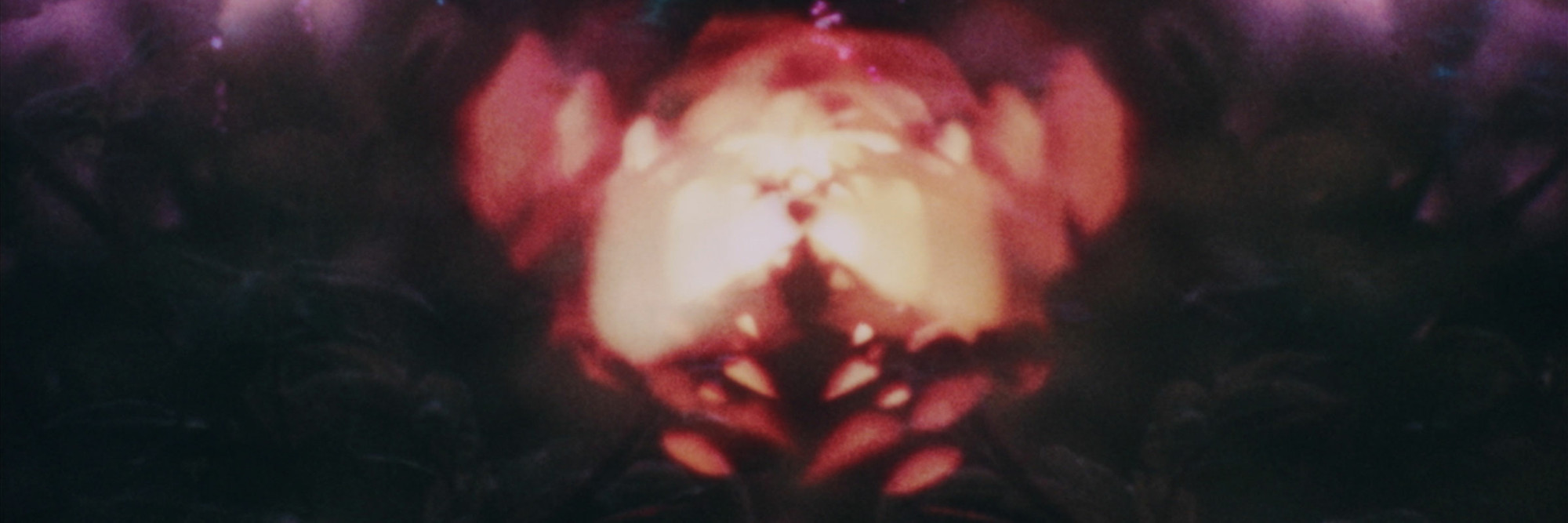 Rays. 1969. USA. Directed by Neelon Crawford. The Museum of Modern Art, New York