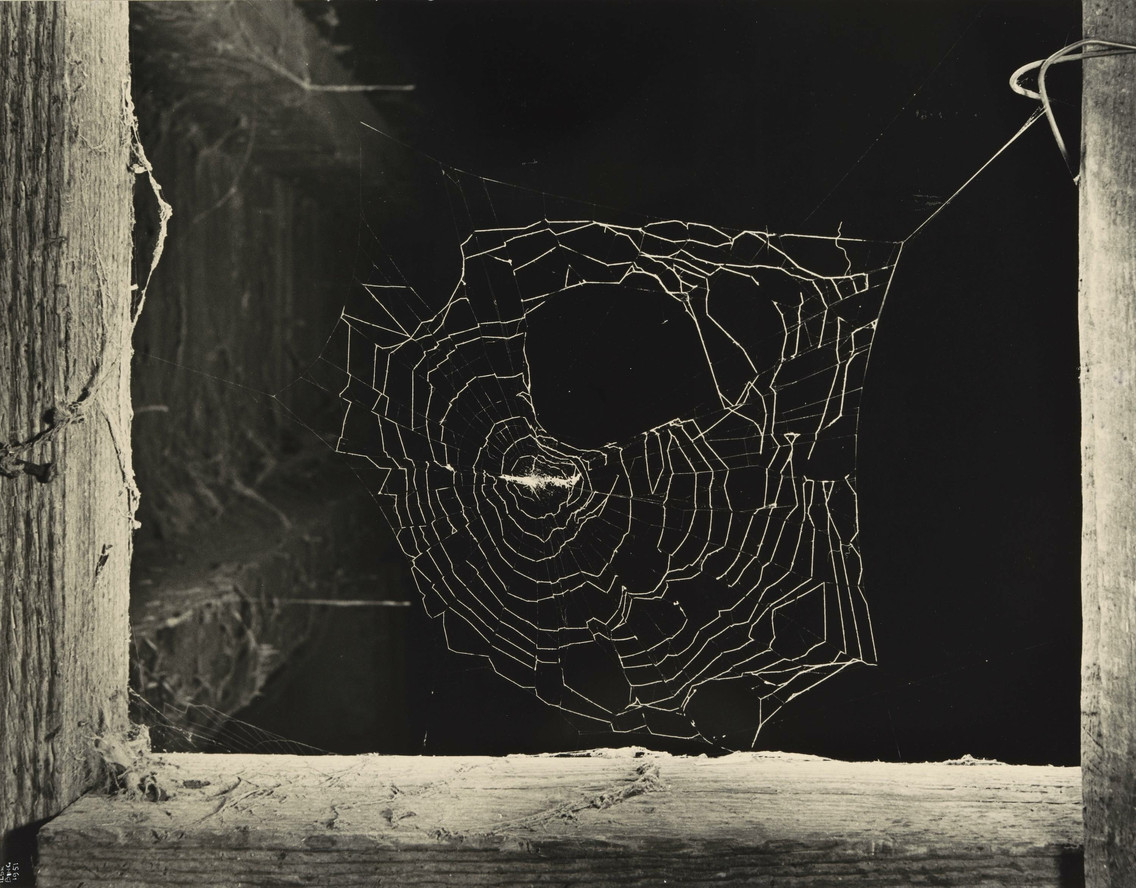 Ilse Bing. Spider Web and Stables, New York. 1951