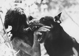 L’enfant sauvage (The Wild Child). 1969. France. Directed by François Truffaut. Courtesy United Artists/Photofest