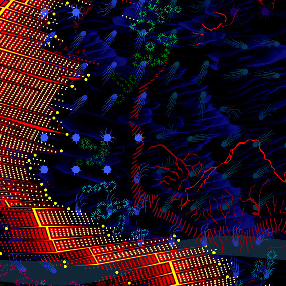 Emanuel Admassu. Planetary Scar (Mid-Atlantic Ridge). 2020