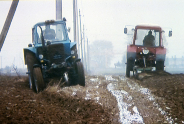 Me'kivun ha'yaar (Voices from the Forest). 2003. Israel. Directed by Limor Pinhasov, Yaron Kaftori. Courtesy Arsenal Berlin