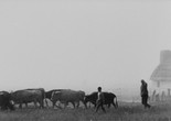 Didi mtsvane weli (Great Green Valley). 1967. Georgia. Directed by Merab Kokochashvili. Courtesy Arsenal Berlin