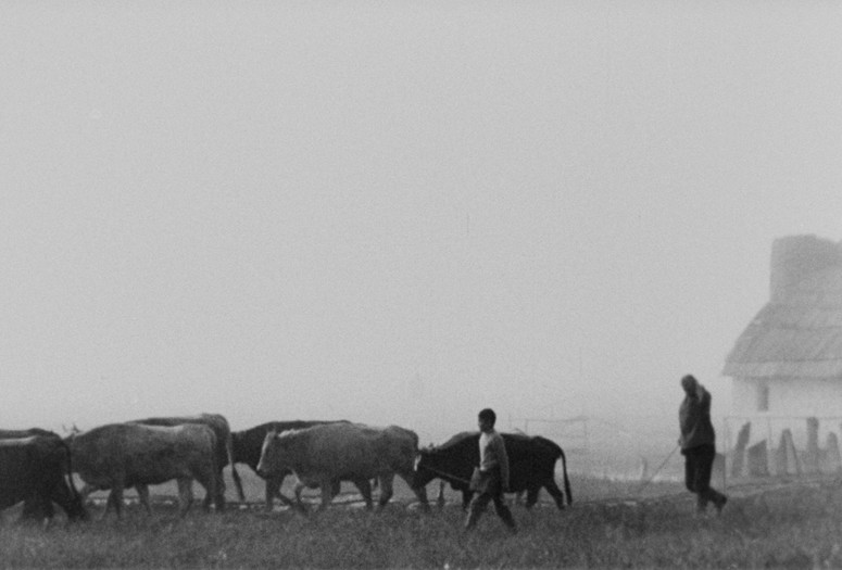 Didi mtsvane weli (Great Green Valley). 1967. Georgia. Directed by Merab Kokochashvili. Courtesy Arsenal Berlin