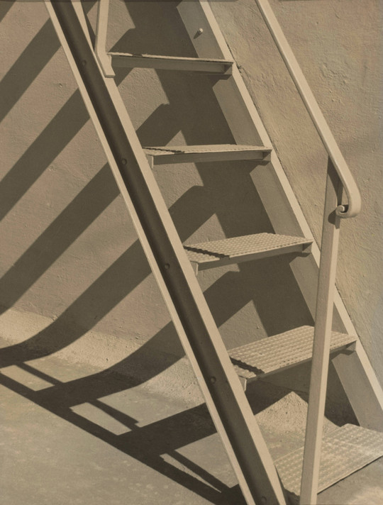 Gertrudes Altschul. Untitled. c. 1955