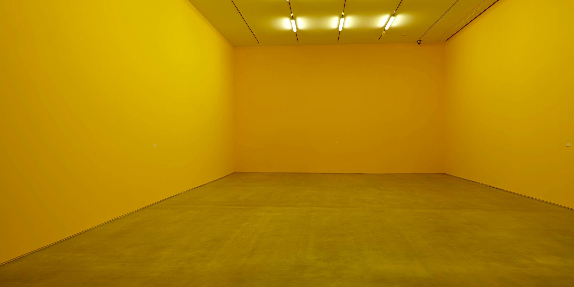 Héctor Fuenmayor. Citrus 6906. 1973/2014. Wall paint and vinyl, dimensions variable. Gift of Patricia Phelps de Cisneros through the Latin American and Caribbean Fund in honor of Lord and Lady Foster