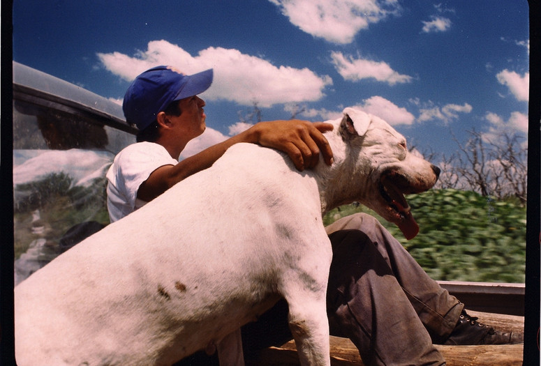 La Libertad (Freedom). 2001. Argentina. Written and directed by Lisandro Alonso. Courtesy the filmmaker