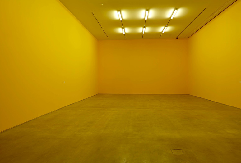 Héctor Fuenmayor. Citrus 6906. 1973/2014. Wall paint and vinyl, dimensions variable. Gift of Patricia Phelps de Cisneros through the Latin American and Caribbean Fund in honor of Lord and Lady Foster