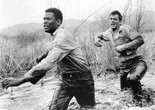 The Defiant Ones. 1958. USA. Directed by Stanely Kramer. Courtesy United Artists/Photofest