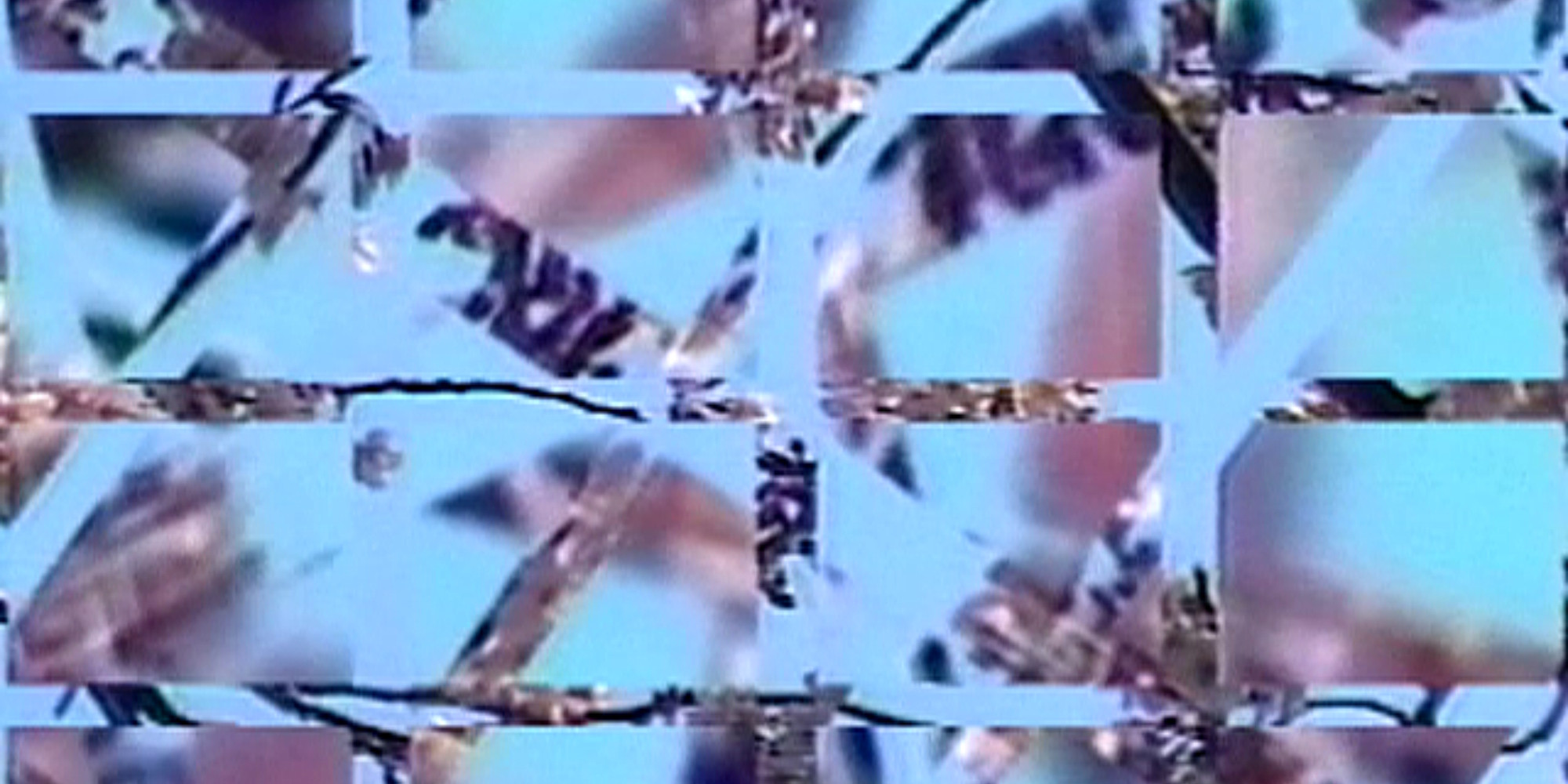 Shigeko Kubota. Still from Rock Video: Cherry Blossom. 1986. Video (color, silent), 12:54 min. The Museum of Modern Art, New York. Acquired through the generosity of Younghee Kim-Wait. © 2021 Estate of Shigeko Kubota. Courtesy Electronic Arts Intermix (EAI), New York