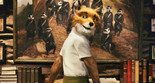Fantastic Mr. Fox. 2009. USA. Directed by Wes Anderson. Courtesy Fox Searchlight Pictures/Photofest