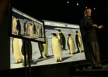 An Inconvenient Truth. 2006. USA. Directed by Davis Guggenheim. Courtesy Paramount Classics/Photofest
