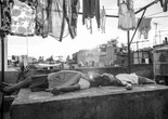 Roma. 2018. Mexico. Written and directed by Alfonso Cuarón. Courtesy Netflix