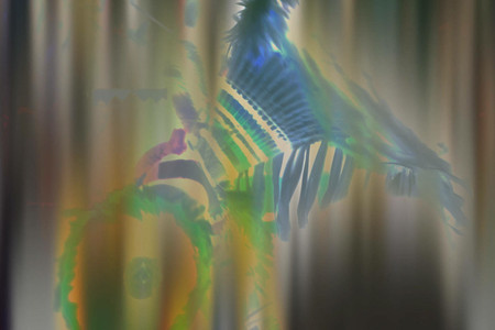 Sky Hopinka. I’ll Remember You as You Were, not as What You’ll Become. 2016. Video (color, sound). Purchase from the Distributor. Purchase funds provided by the Fund for the Twenty-First Century