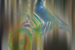 Sky Hopinka. I’ll Remember You as You Were, not as What You’ll Become. 2016. Video (color, sound). Purchase from the Distributor. Purchase funds provided by the Fund for the Twenty-First Century