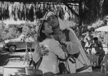 Lo Sceicco Bianco (The White Sheik). 1952. Italy. Directed by Federico Fellini. Courtesy Criterion/Photofest