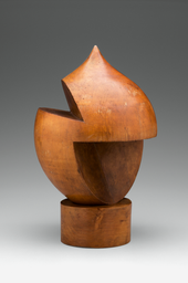 Head