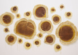 Shambhavi. Cosmic Seeds Light / Beej Brahmaand Ek. 2011. Etching and aquatint on twenty cotton pulp sheets with embedded thread, dimensions variable upon installation. The Museum of Modern Art, New York. © 2021 Shambhavi