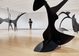 Installation view of Alexander Calder: Modern from the Start, The Museum of Modern Art, New York, March 14, 2021–January 15, 2022. Photo: Christiana Rifaat. All works by Alexander Calder. Collection of The Museum of Modern Art, New York, unless otherwise noted. © 2021 Calder Foundation, New York/Artists Rights Society (ARS), New York. Shown (from left): Black Beast. 1940. Sheet metal, bolts, and paint. Calder Foundation, New York; Snow Flurry I. 1948. Sheet steel, steel wire, and paint. Gift of the artist; Devil Fish. 1937. Sheet metal, bolts, and paint. Calder Foundation, New York; Black Widow. 1959. Sheet steel and paint. Mrs. Simon Guggenheim Fund