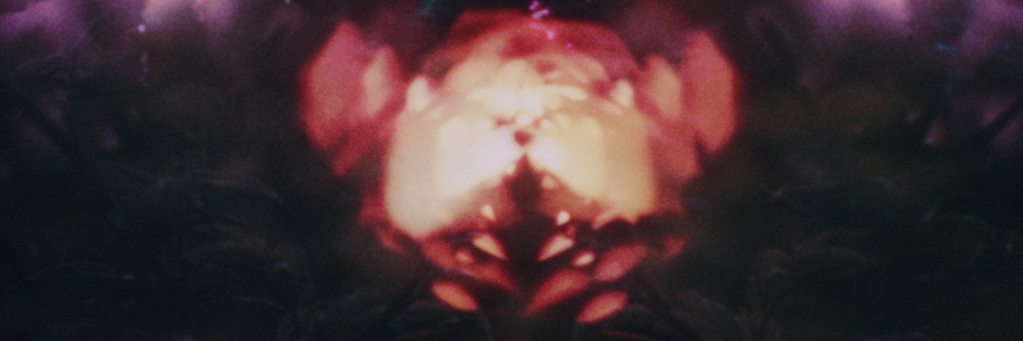 Rays. 1969. USA. Directed by Neelon Crawford. The Museum of Modern Art, New York