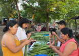 colectivo amasijo preparing tamales, Los Tuxtlas - Veracruz. Photo by Pablo Escoto. Courtesy of colectivo amasijo
