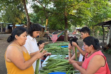 colectivo amasijo preparing tamales, Los Tuxtlas - Veracruz. Photo by Pablo Escoto. Courtesy of colectivo amasijo
