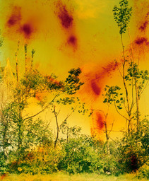 Wolfgang Tillmans. Icestorm. 2001. © Wolfgang Tillmans, 2022. Image courtesy the artist; David Zwirner, New York/Hong Kong; Galerie Buchholz, Berlin/Cologne; Maureen Paley, London