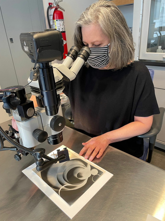 Lee Ann Daffner looking at a plate from Champs Délicieux under the microscope