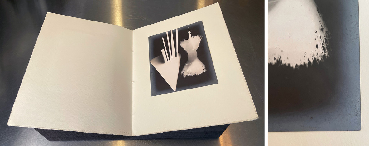 Two views of plate 6 from Champs Délicieux. At left, an overall view of the plate and album page, and at right, a detail of the lower right quadrant. Silver mirroring is clearly visible along its edges under normal light.