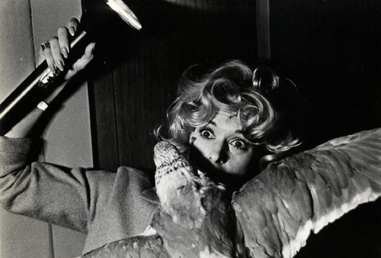The Birds. 1963. USA. Directed by Alfred Hitchcock. Courtesy The Museum of Modern Art Film Stills Archive