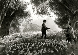 How Green Was My Valley. 1940. USA. Directed by John Ford. Courtesy The Museum of Modern Art Film Stills Archive
