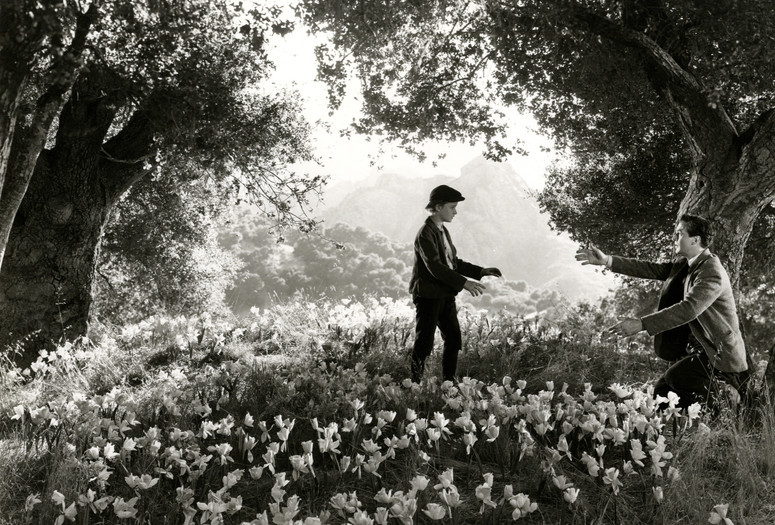 How Green Was My Valley. 1940. USA. Directed by John Ford. Courtesy The Museum of Modern Art Film Stills Archive