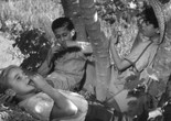 Les Oliviers de la Justice (The Olive Trees of Justice). 1962. France. Directed by James Blue. Courtesy Kino Lorber