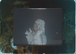 Silver Femme. 2020. USA. Directed by Nico Reano. Courtesy the artist