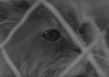 Jouer à Paris. 1962. France. Directed by Catherine Varlin. Courtesy Eclair Preservation